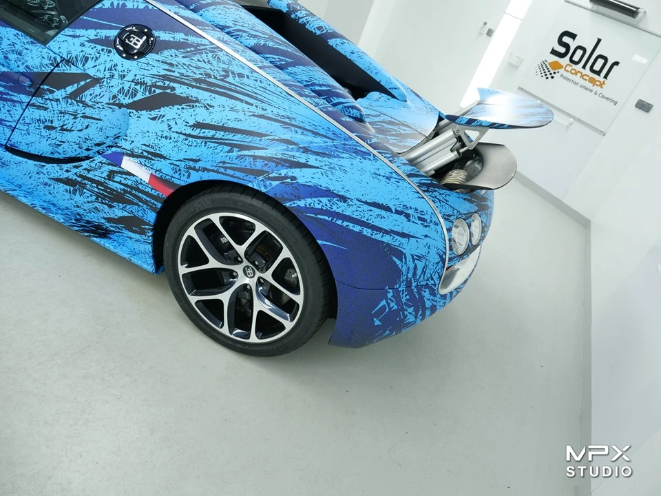 BUGATTI VEYRON ROADSTER GRAND SPORT VITESSE — photo 8